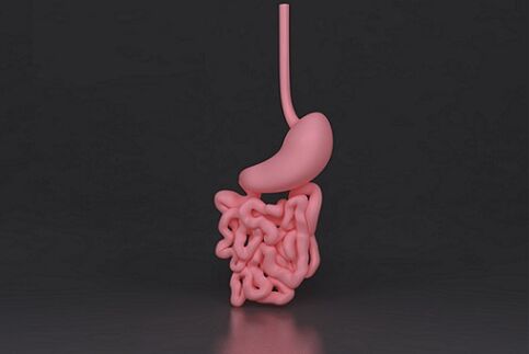 parasitic intestines