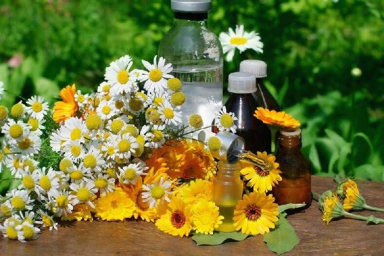 Remedy for parasites