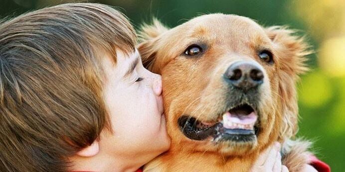 a boy kisses a dog and becomes infected with a parasite